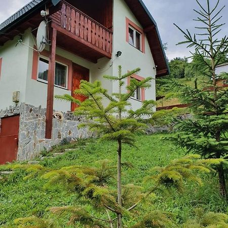 Dîmbovicioara Casa Dor De Eaヴィラ エクステリア 写真