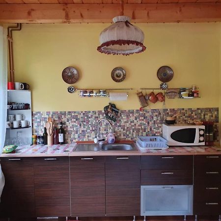 Dîmbovicioara Casa Dor De Eaヴィラ エクステリア 写真