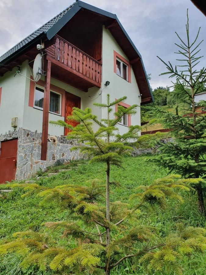 Dîmbovicioara Casa Dor De Eaヴィラ エクステリア 写真