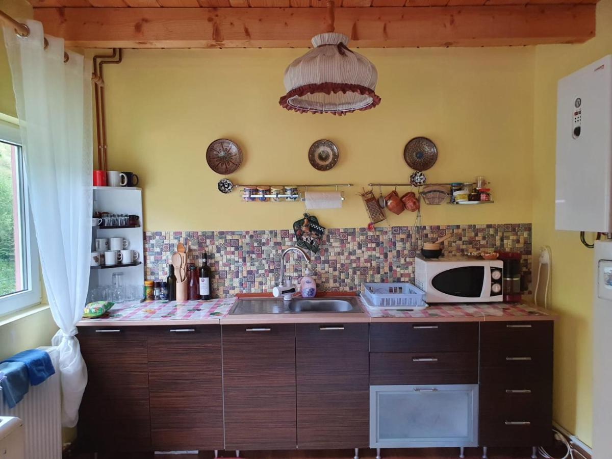 Dîmbovicioara Casa Dor De Eaヴィラ エクステリア 写真