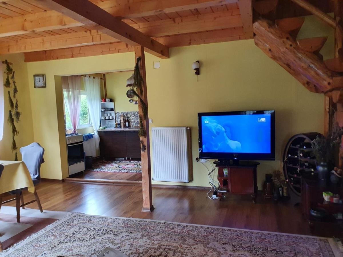 Dîmbovicioara Casa Dor De Eaヴィラ エクステリア 写真