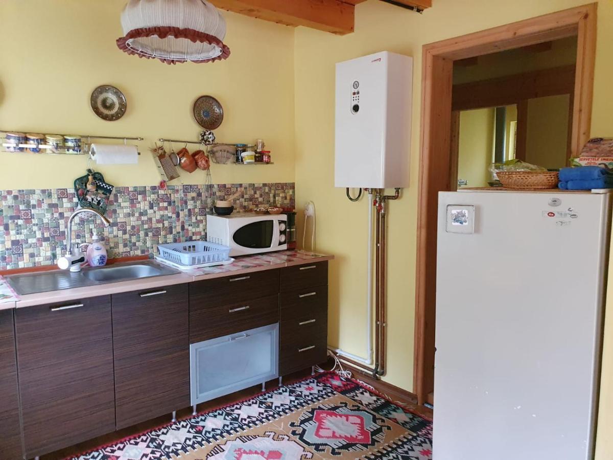 Dîmbovicioara Casa Dor De Eaヴィラ エクステリア 写真