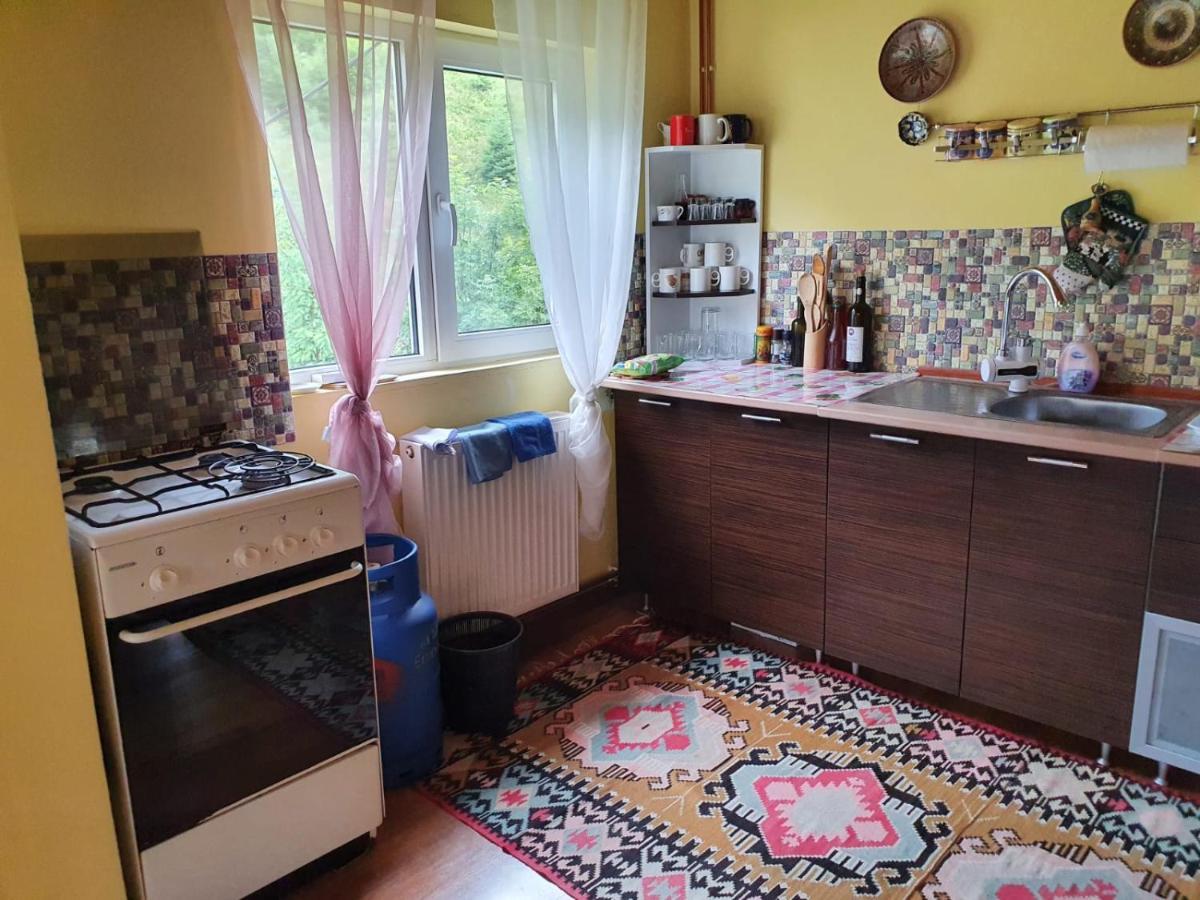 Dîmbovicioara Casa Dor De Eaヴィラ エクステリア 写真