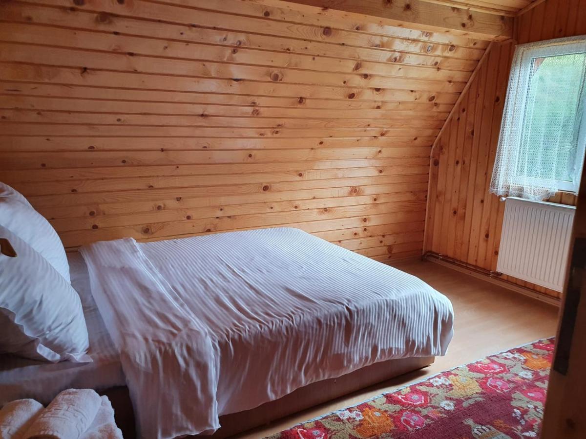 Dîmbovicioara Casa Dor De Eaヴィラ エクステリア 写真