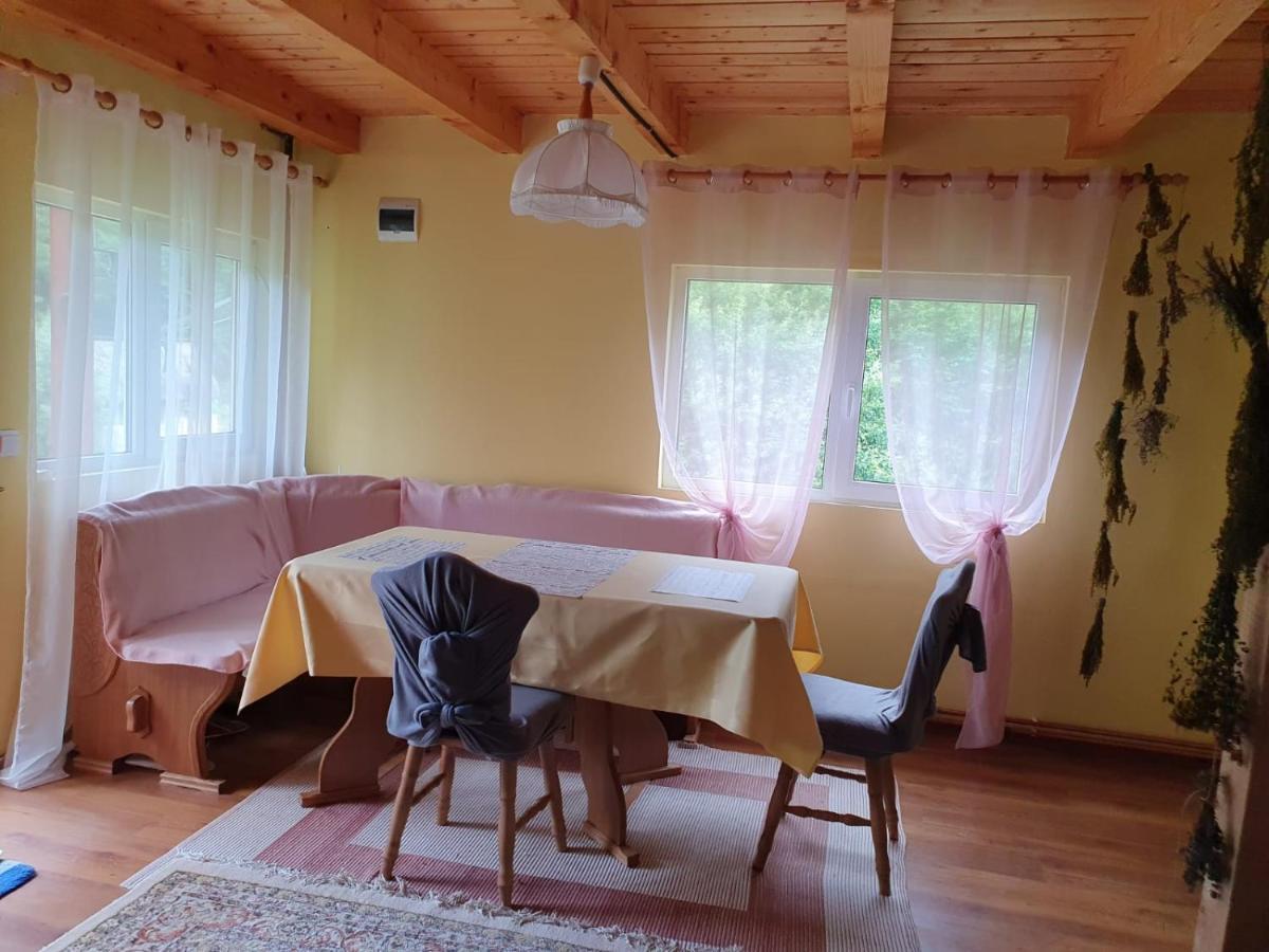 Dîmbovicioara Casa Dor De Eaヴィラ エクステリア 写真