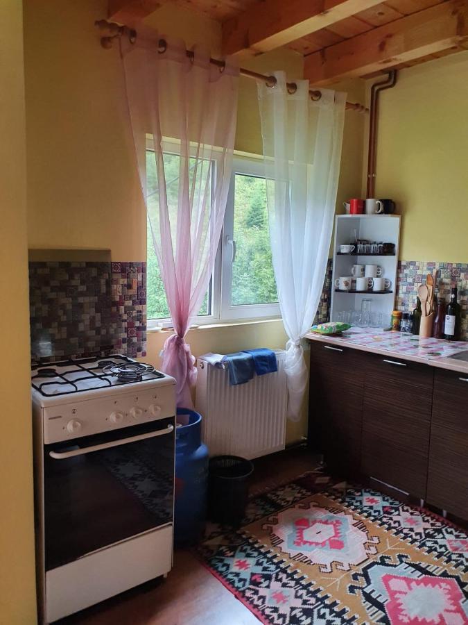 Dîmbovicioara Casa Dor De Eaヴィラ エクステリア 写真