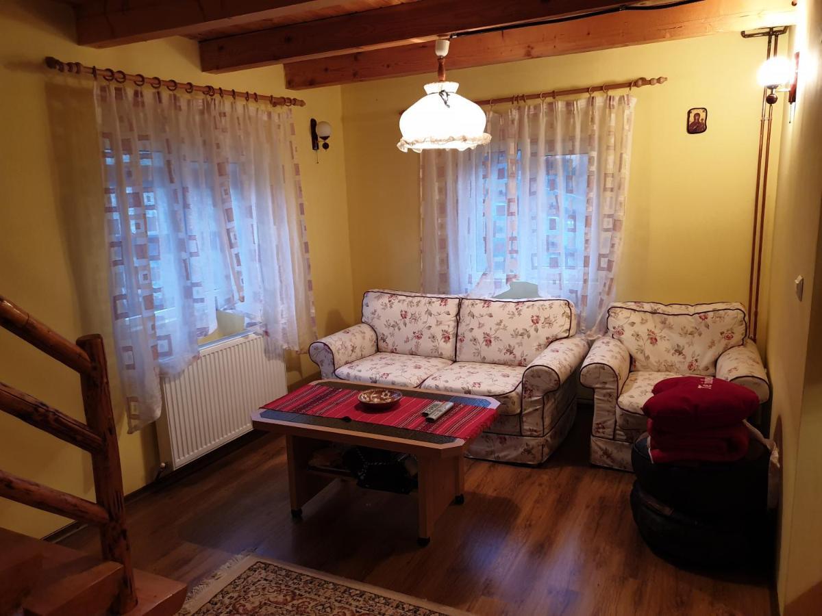Dîmbovicioara Casa Dor De Eaヴィラ エクステリア 写真