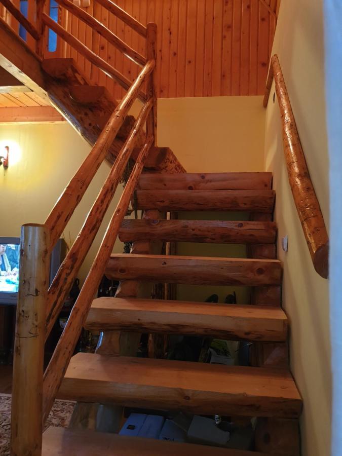 Dîmbovicioara Casa Dor De Eaヴィラ エクステリア 写真